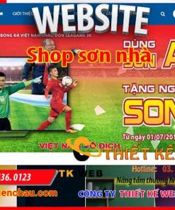 thiet-ke-web-shop-son-nha