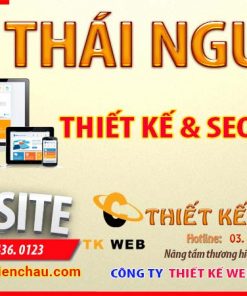 thiet-ke-website-tai-thai-nguyen